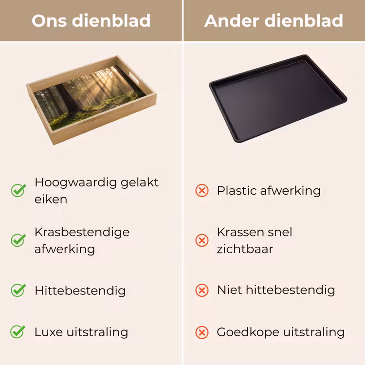 Dienblad - Bos - Zonlicht - Gras — 9
