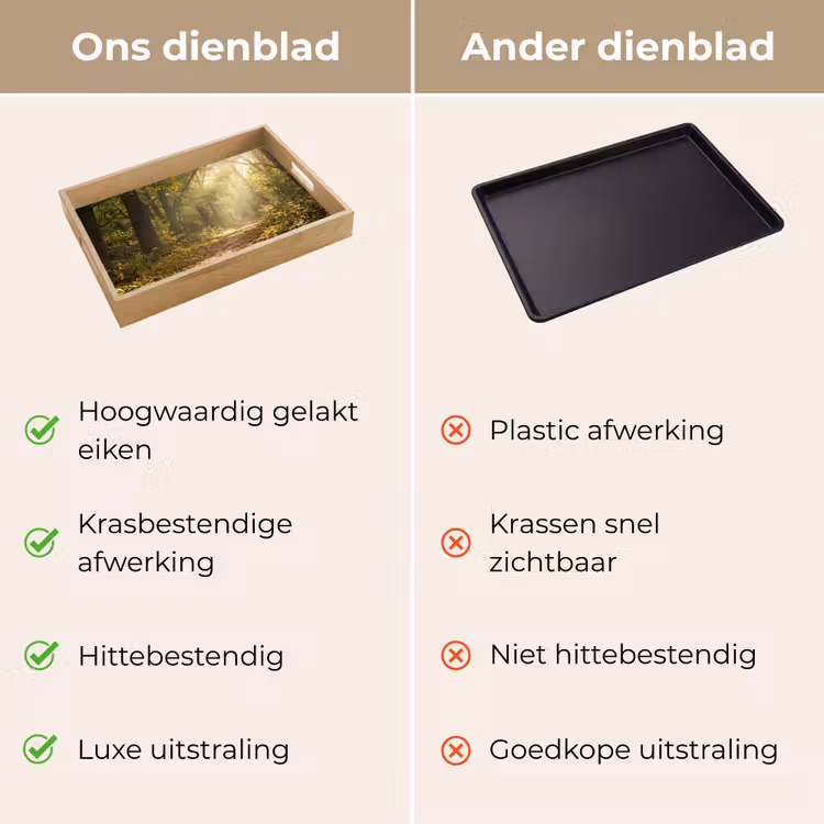 Dienblad - Zonlicht - Bospad - Bomen — 9