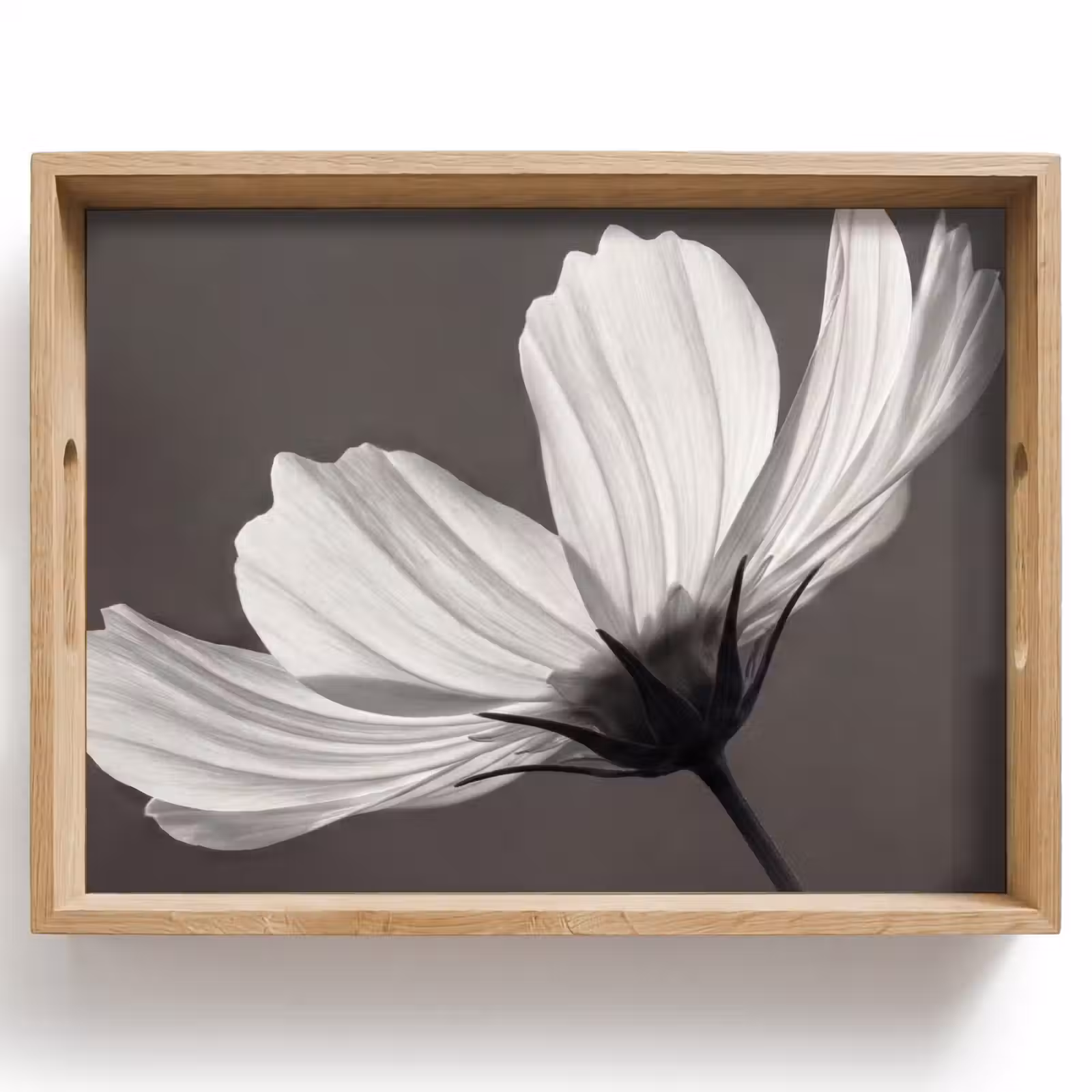 Dienblad - Bloem - Minimalistisch - Zwart - Wit — 1