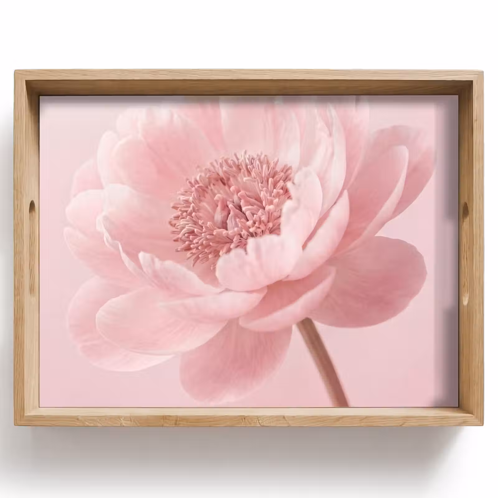 Dienblad - Bloem - Pioenroos - Roze — 1