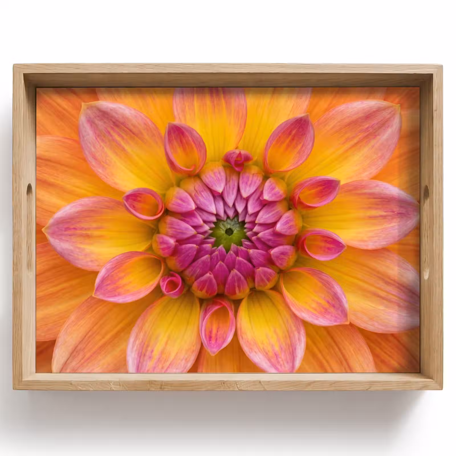 Dienblad - Dahlia - Bloem - Oranje — 1