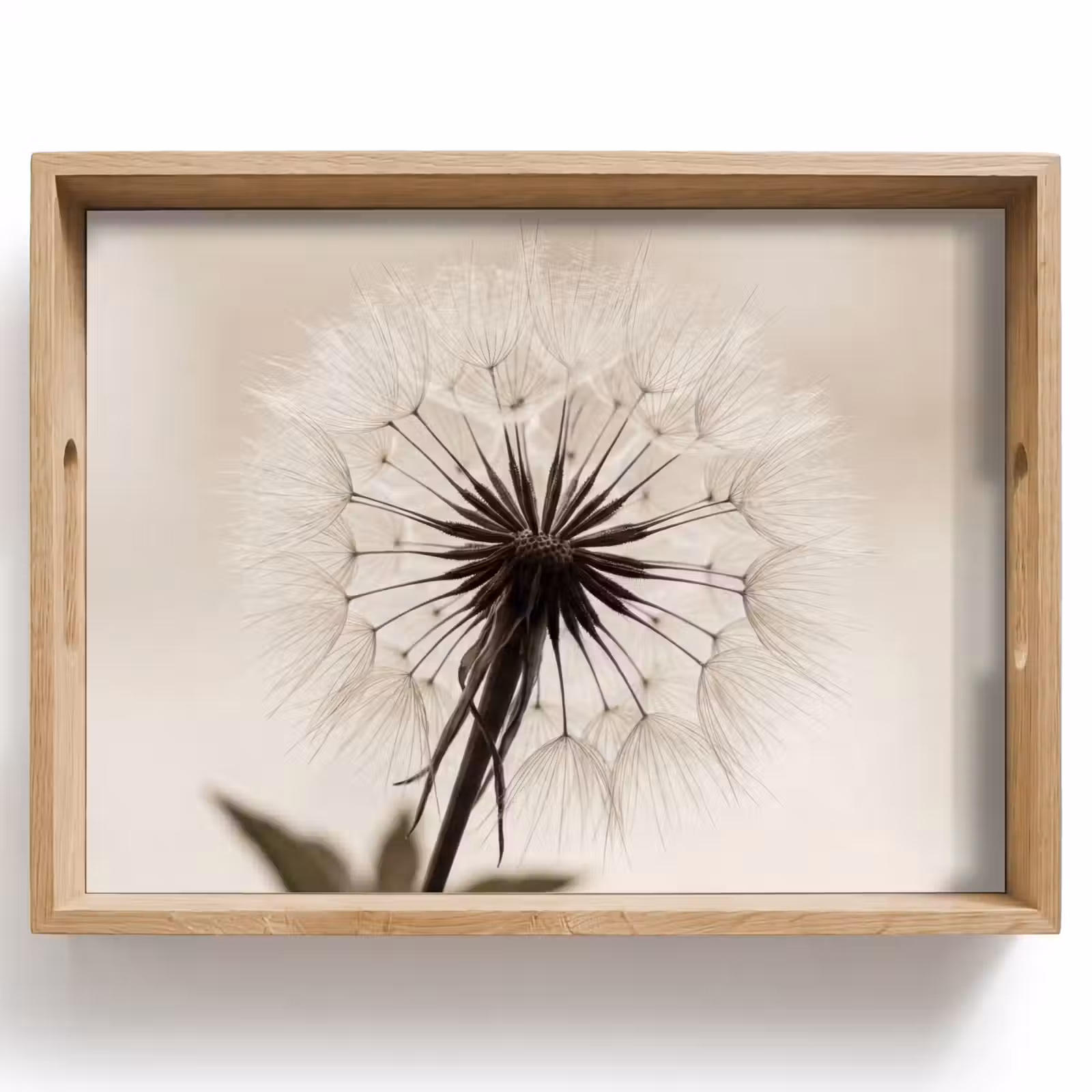 Dienblad - Paardenbloem - Minimalistisch - Wit — 1