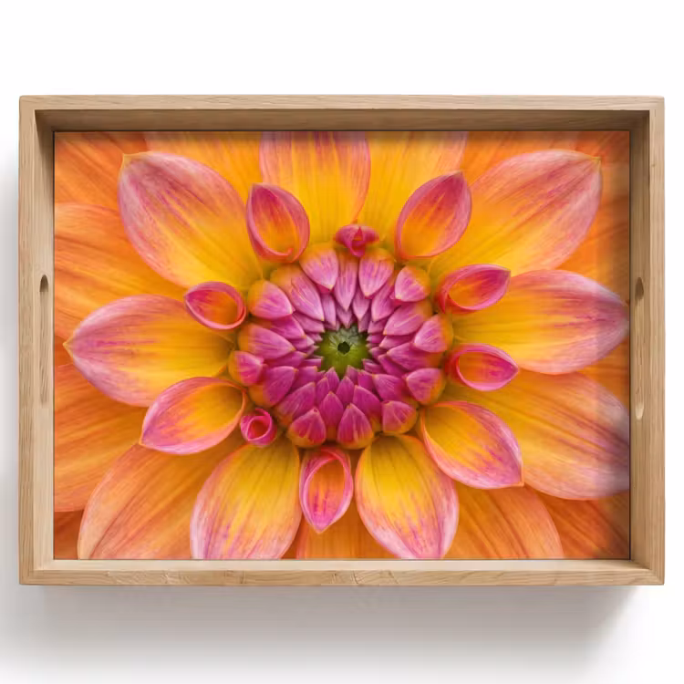 Dienblad - Dahlia - Bloem - Oranje — 1