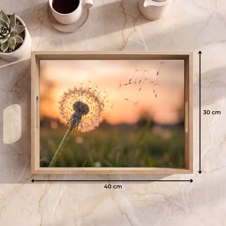 Dienblad - Paardenbloem - Zonsondergang - Veld — 7