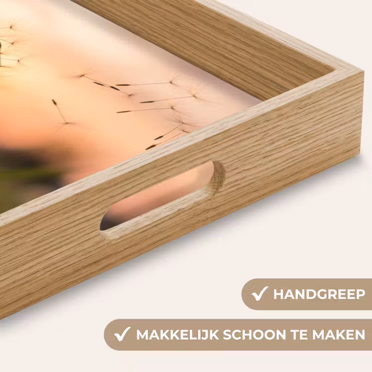Dienblad - Paardenbloem - Zonsondergang - Veld — 8