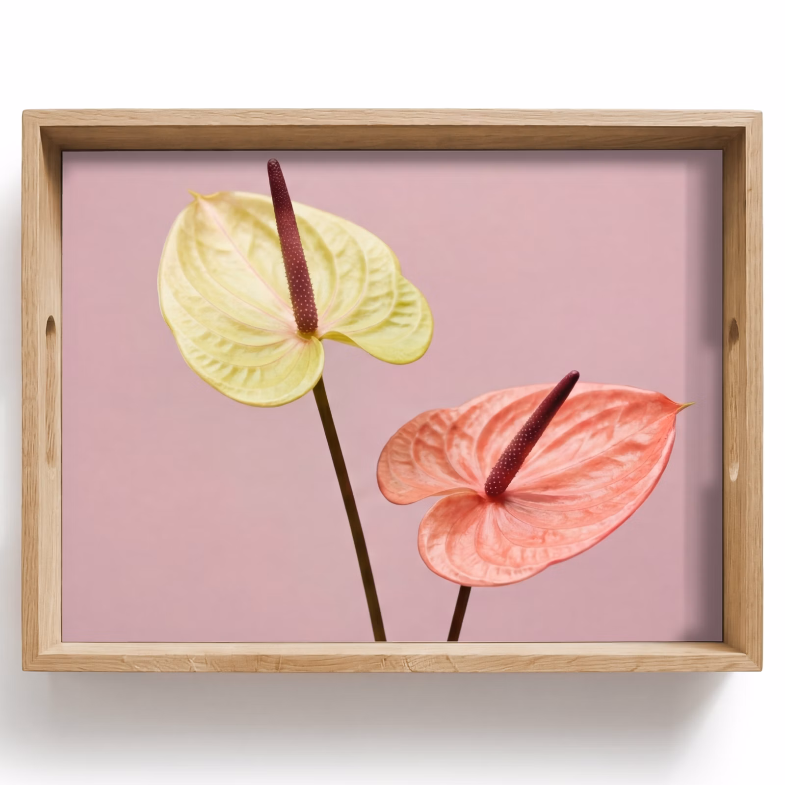 Dienblad - Bloemen - Anthuriums - Geel - Roze — 1