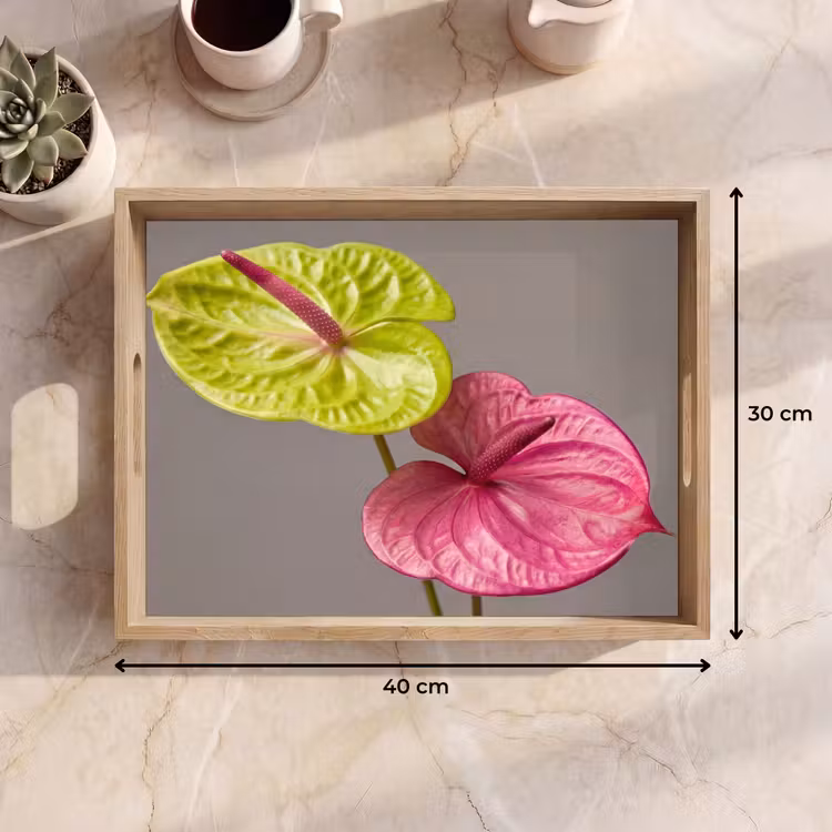 Dienblad - Planten - Anthurium - Groen - Roze — 7