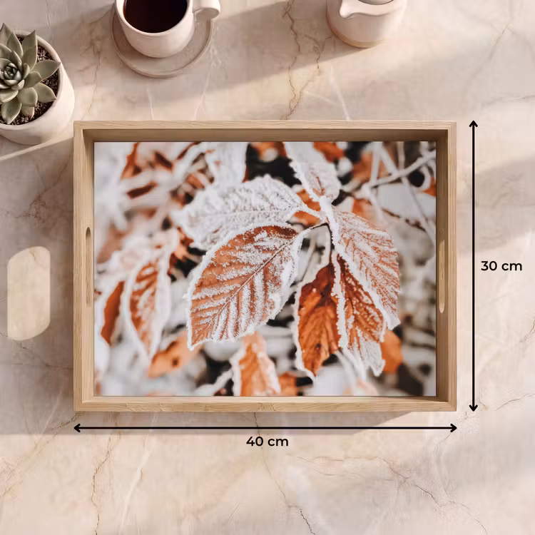 Dienblad - Bladeren - IJs - Winter - Natuur — 7