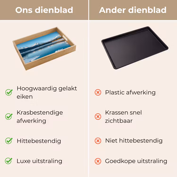 Dienblad - Landschap - Winter - Meer - Bergen - Uitzicht - IJs — 9