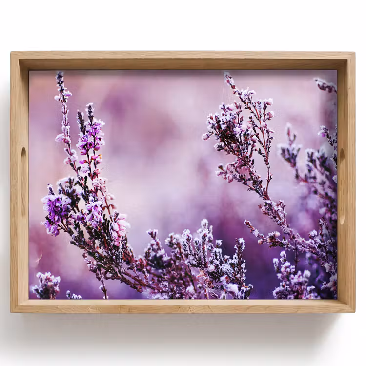 Dienblad - Lavendel - Winter - Bloemen - Paars — 1