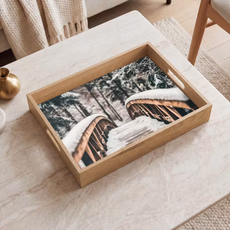 Dienblad - Brug - Winterlandschap - Bos - Natuur - Sneeuw — 2