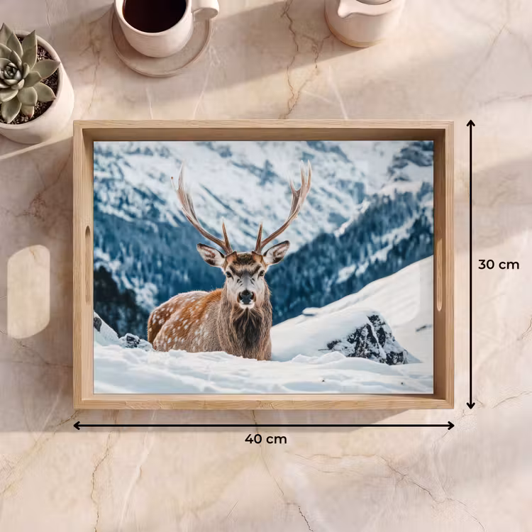 Dienblad - Hert - Landschap - Winter - Natuur - Dieren - Bergen — 7