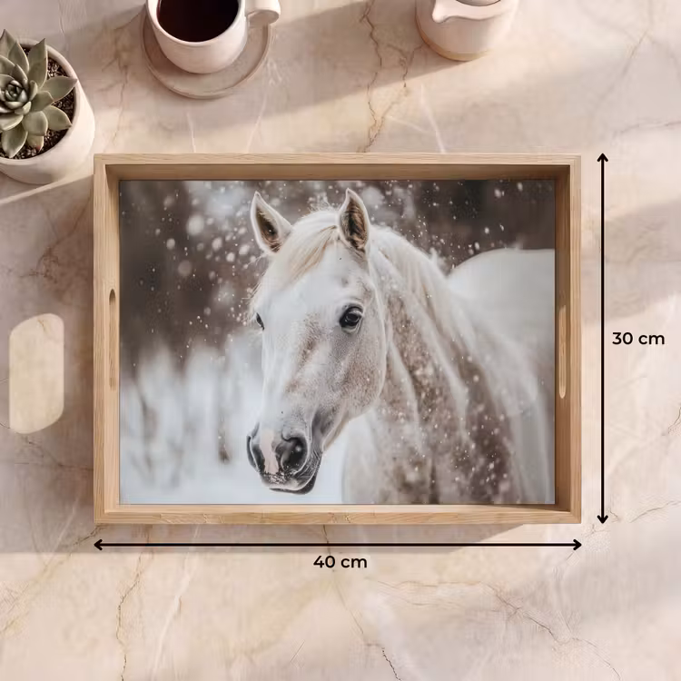 Dienblad - Paard - Wit - Winter - Natuur - Sneeuw - Dieren — 7