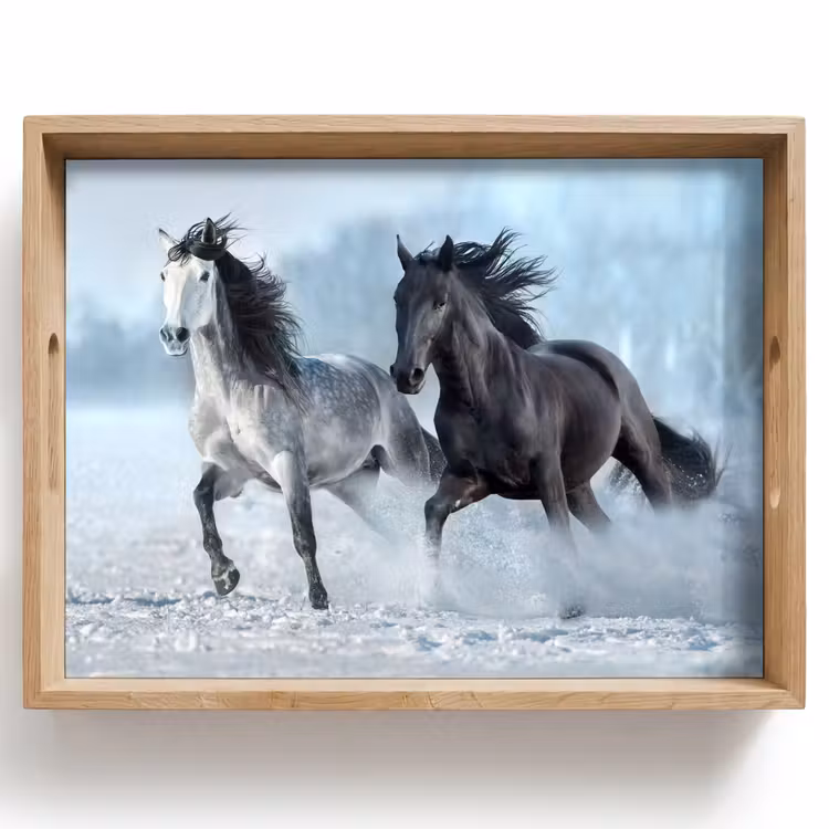 Dienblad - Paarden - Winter - Dieren - Natuur - Sneeuw — 1
