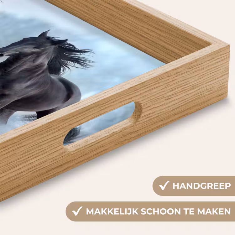 Dienblad - Paarden - Winter - Dieren - Natuur - Sneeuw — 8