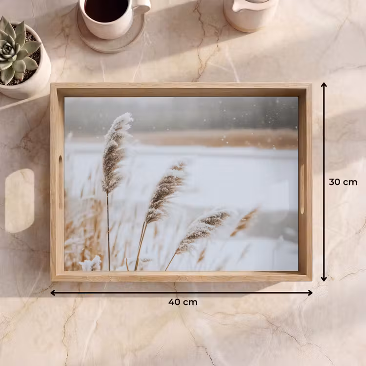 Dienblad - Riet - Meer - Winter - Natuur - Sneeuw - Beige — 7