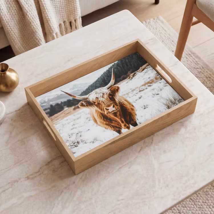 Dienblad - Schotse Hooglander - Landschap - Sneeuw - Bergen - Winter — 2