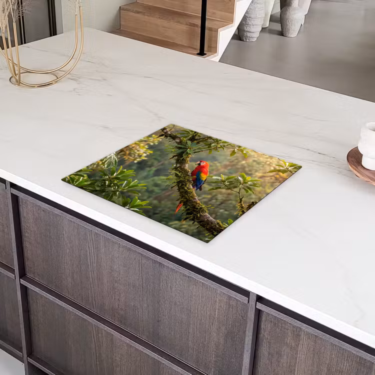 Inductie beschermer - Ara - Jungle - Rood — 4