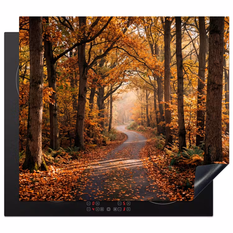 Inductie beschermer - Bospad - Herfstbos - Bladeren - Oranje - Nostalgisch — 1