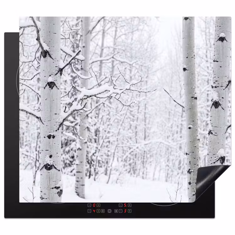 Inductie beschermer - Berkenbomen - Sneeuw - Winter - Bos - Wit — 1