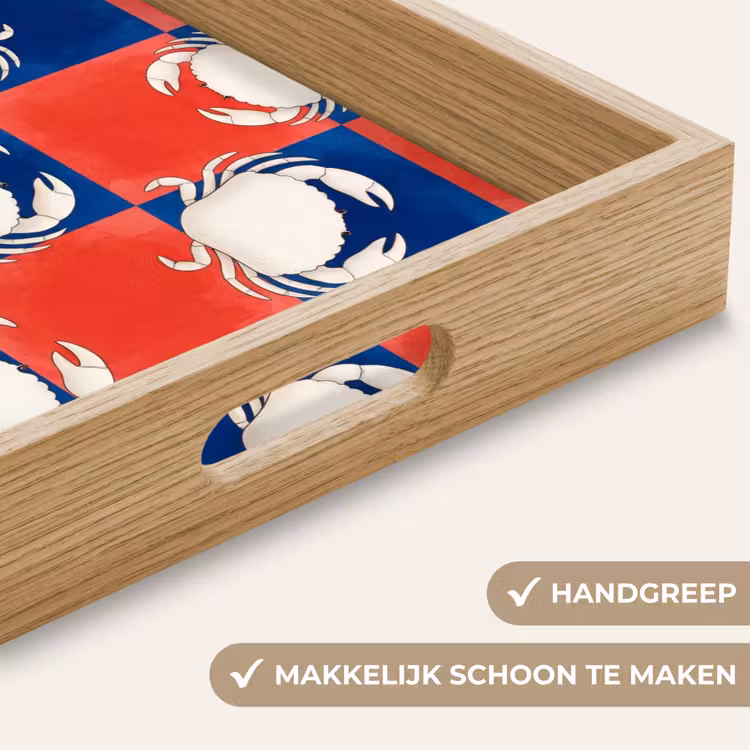 Dienblad - Patroon - Zeeleven - Rood - Blauw - Abstract — 8