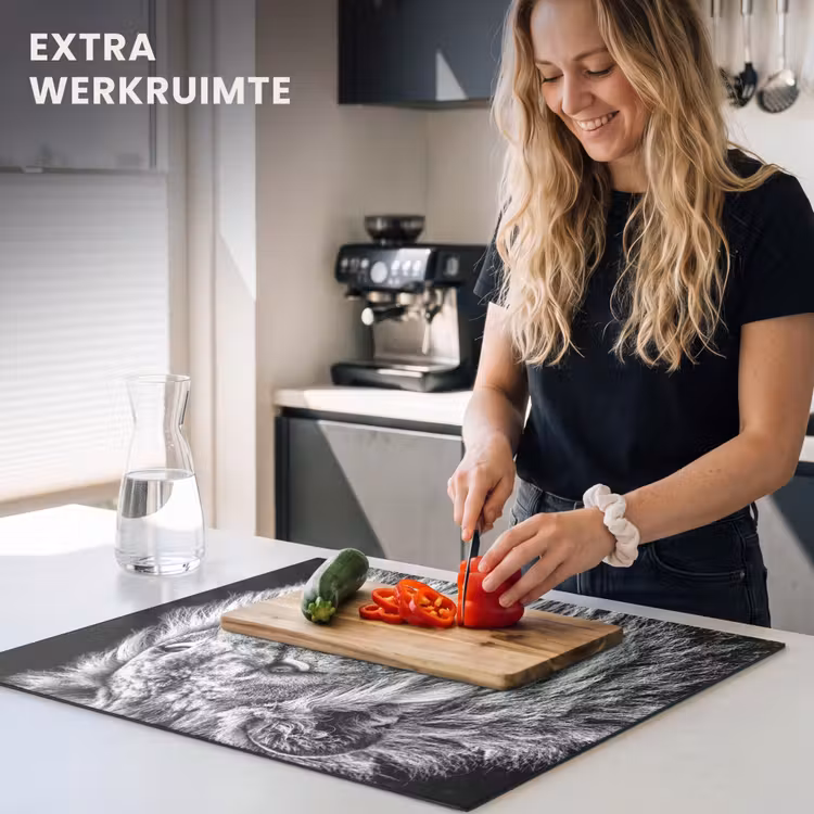 Inductie beschermer - Gravure van een Koning — 5
