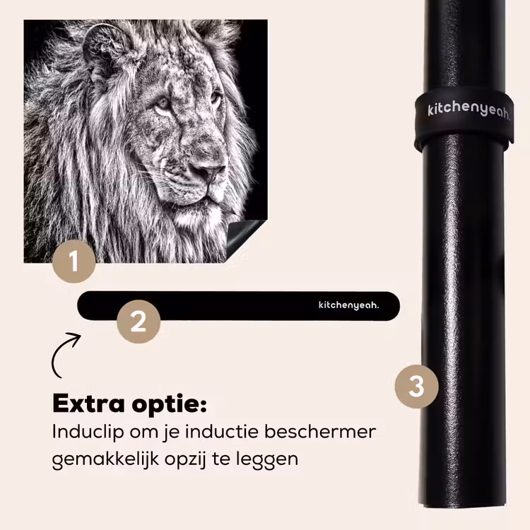 Inductie beschermer - Gravure van een Koning — 8