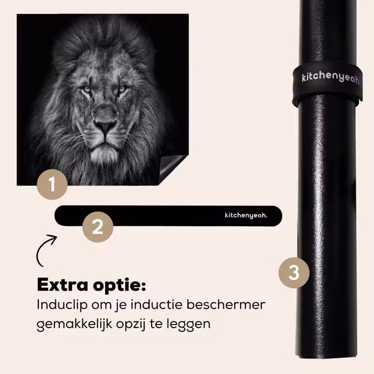 Inductie beschermer - Souvereiniteit in Zwart-Wit — 8