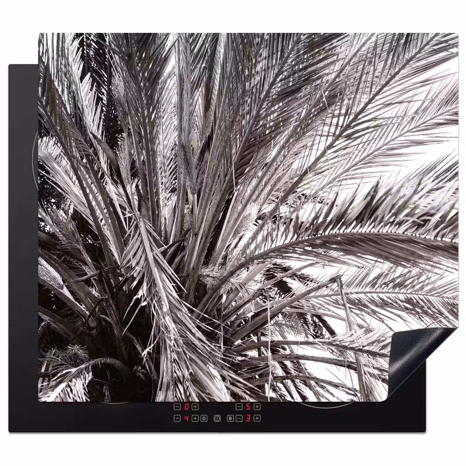 Inductie beschermer - Monochrome Palmendak — 1