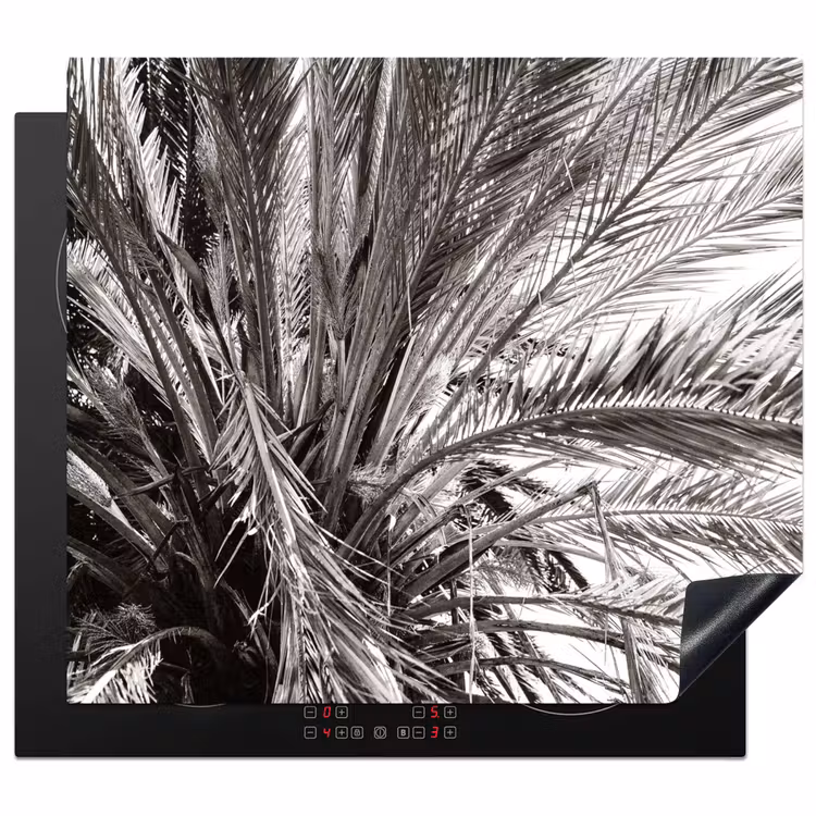 Inductie beschermer - Monochrome Palmendak — 1