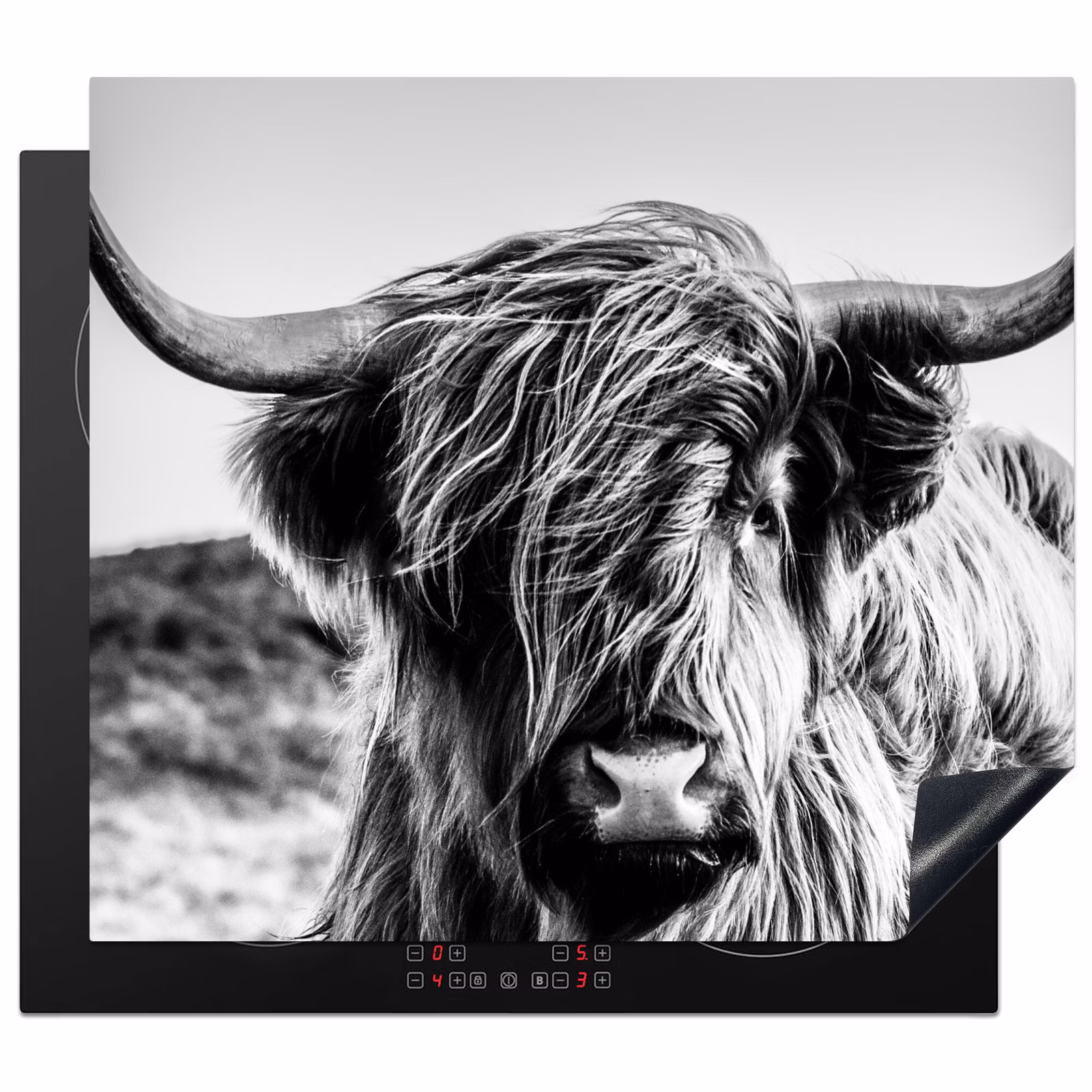 Inductie beschermer - Stille Kracht — 1