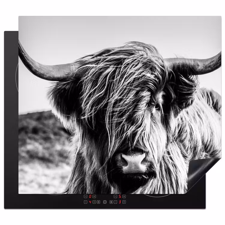 Inductie beschermer - Stille Kracht — 1