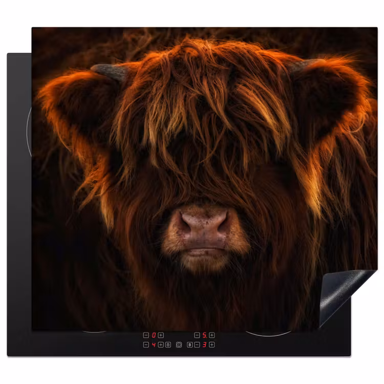 Inductie beschermer - Vurige Manen — 1