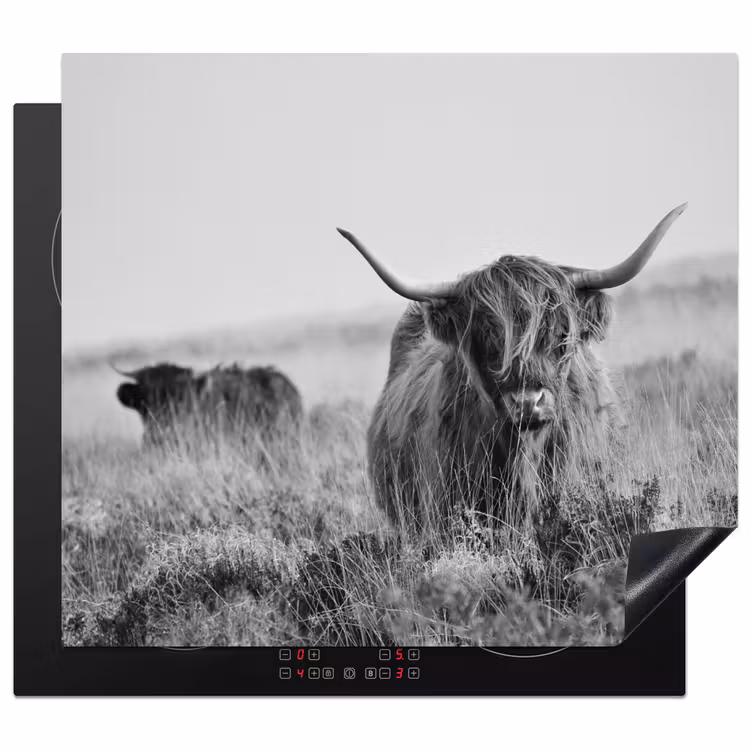 Inductie beschermer - Schotse Hooglander in Monochroom — 1
