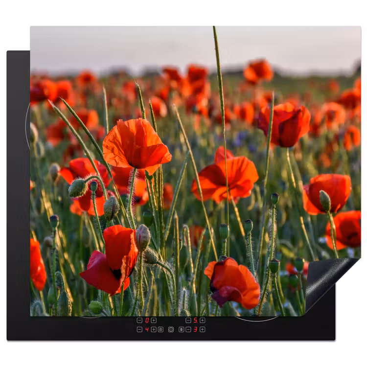 Inductie beschermer - Klaprozen bij Zonsondergang — 1