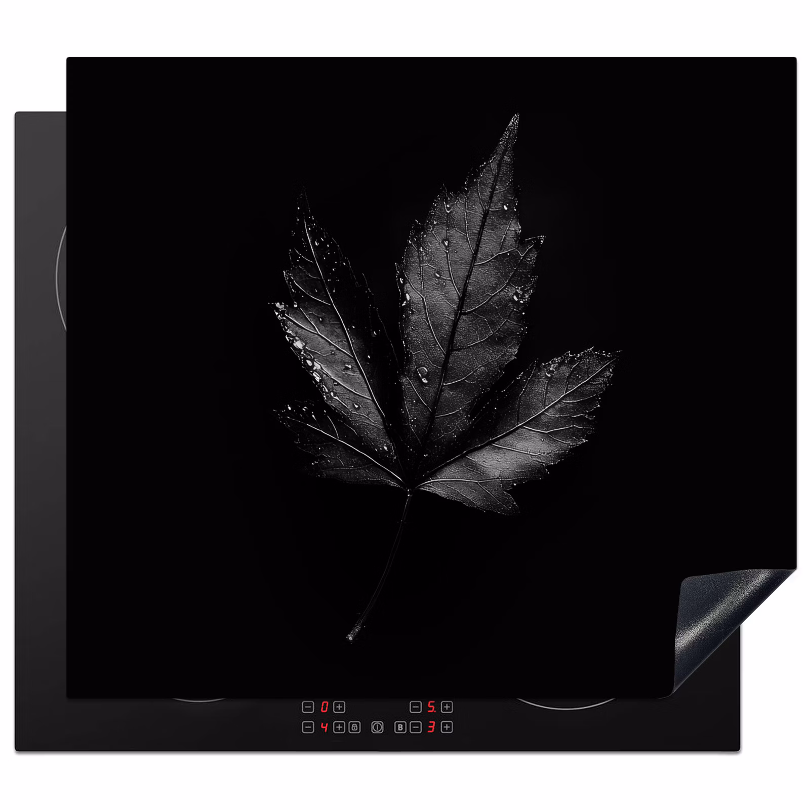 Inductie beschermer - Zwart - Blad — 1
