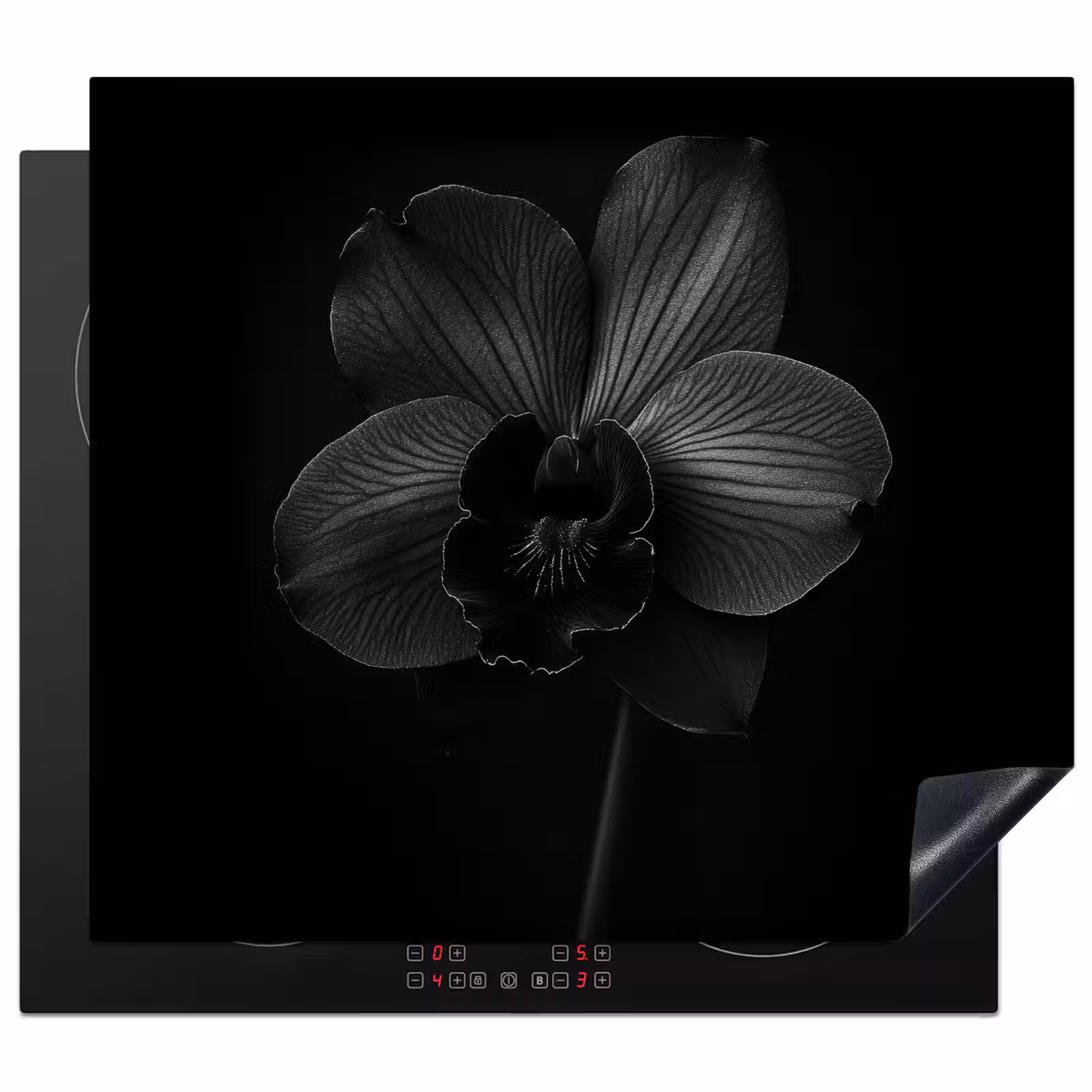 Inductie beschermer - Zwart - Bloem - Orchidee — 1