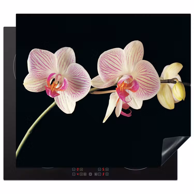 Inductie beschermer - Getekende Schoonheid van Orchideeën — 1