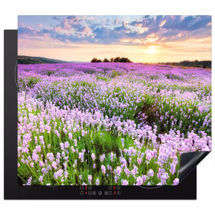 Inductie beschermer - Lavendeldroom bij Zonsondergang — 1
