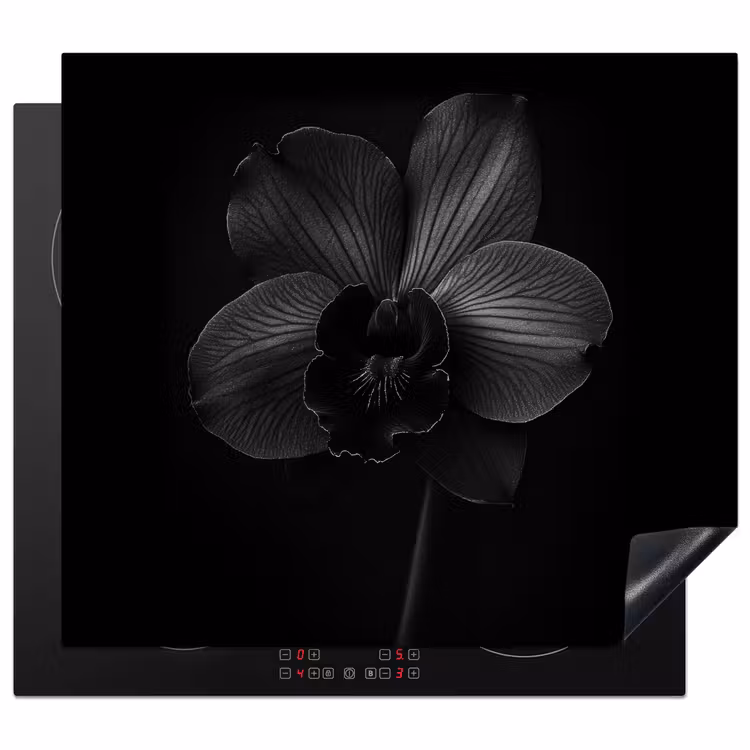 Inductie beschermer - Zwart - Bloem - Orchidee — 1