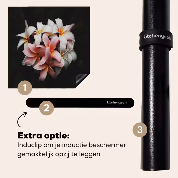 Inductie beschermer - Schakeringen van Sereniteit — 8