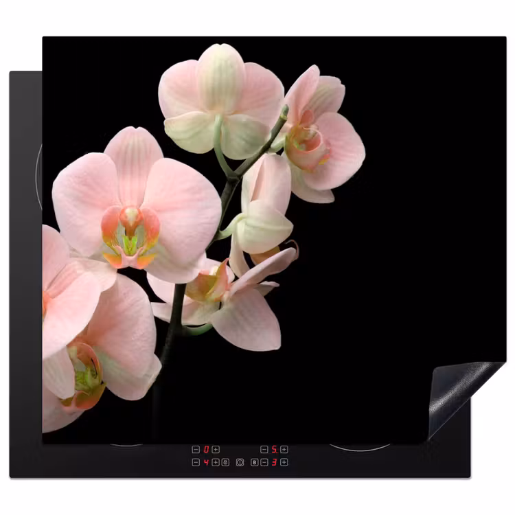 Inductie beschermer - Zachte Roze Orchideeënfluistering — 1