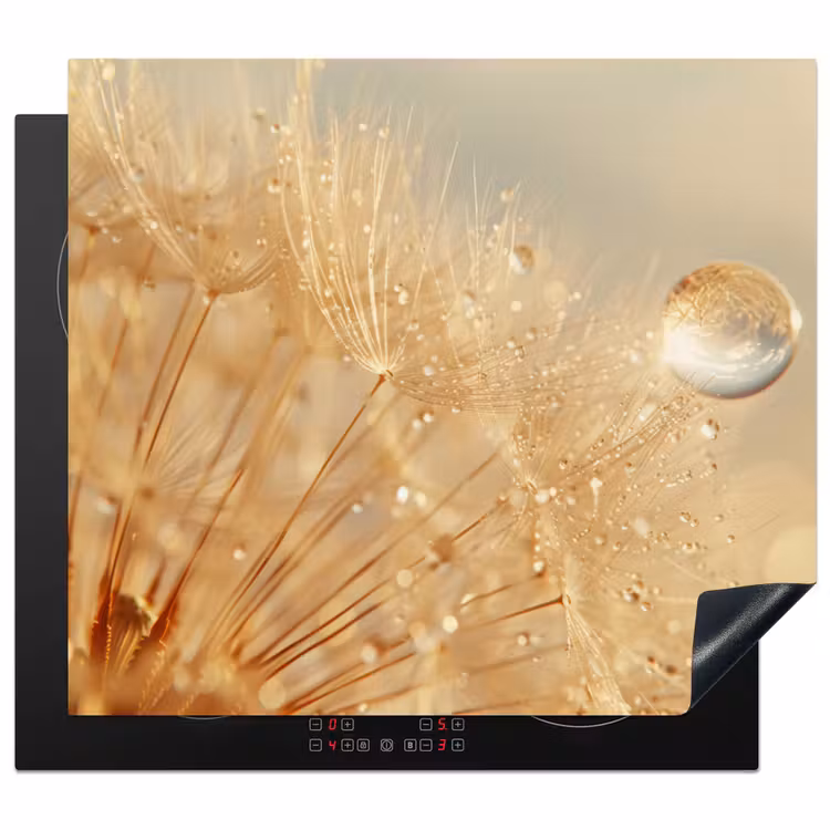 Inductie beschermer - Paardenbloem - Water - Natuur - Planten - Modern — 1