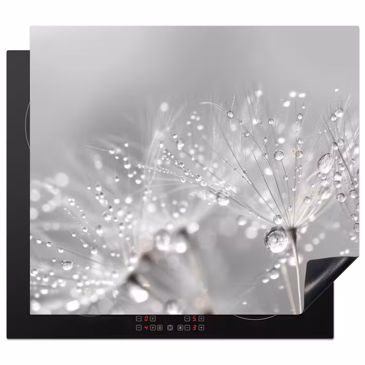 Inductie beschermer - Paardenbloem - Waterdruppels - Stilleven - Modern — 1