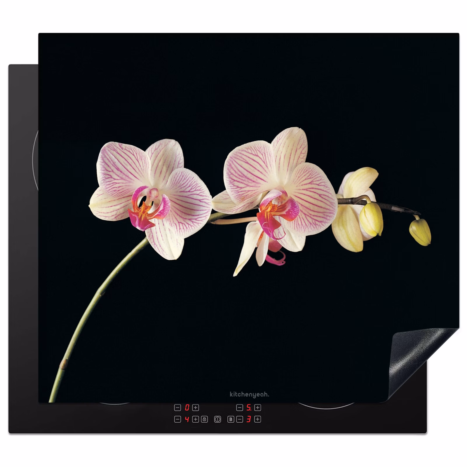 Inductie beschermer - Orchidee - Roze - Bloemen — 1