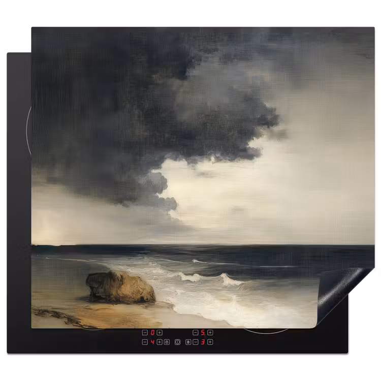 Inductie beschermer - Kust - Golven - Rots - Storm — 1