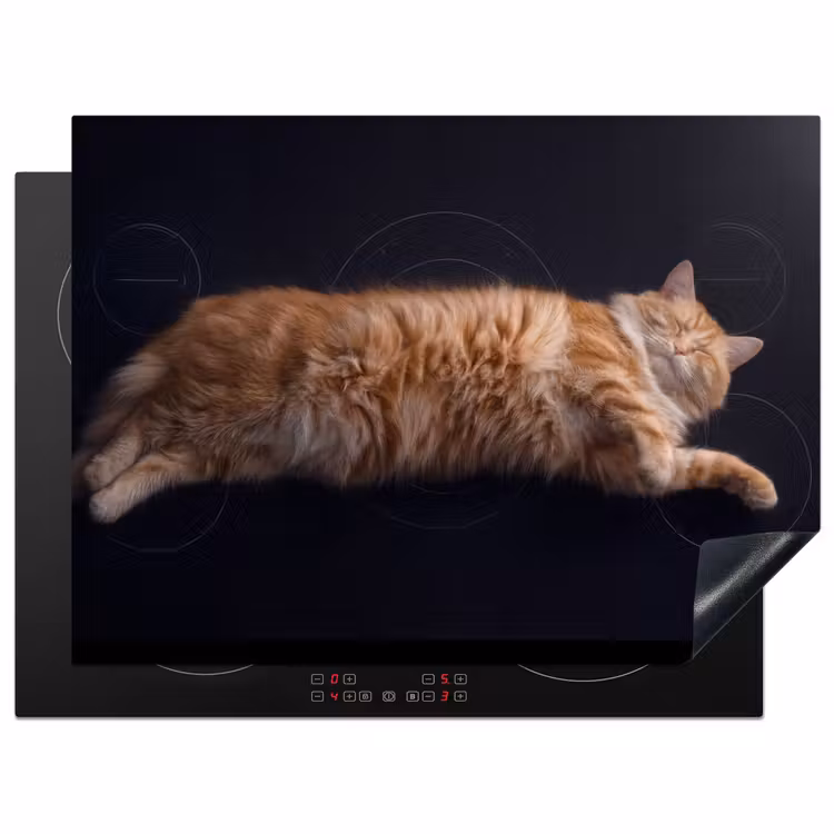 Inductie beschermer - Inductie - Kat - Relax — 1