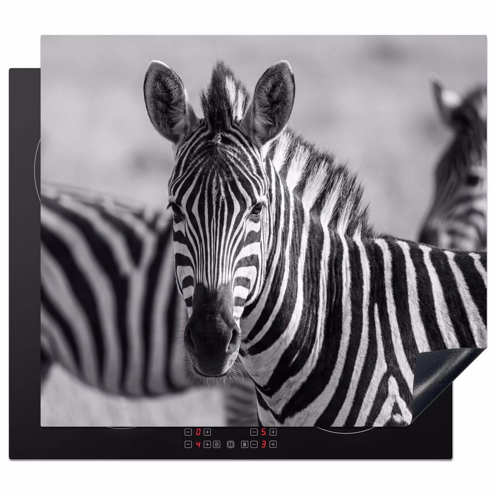 Inductie beschermer - Zebra's - Zwart - Wit — 1