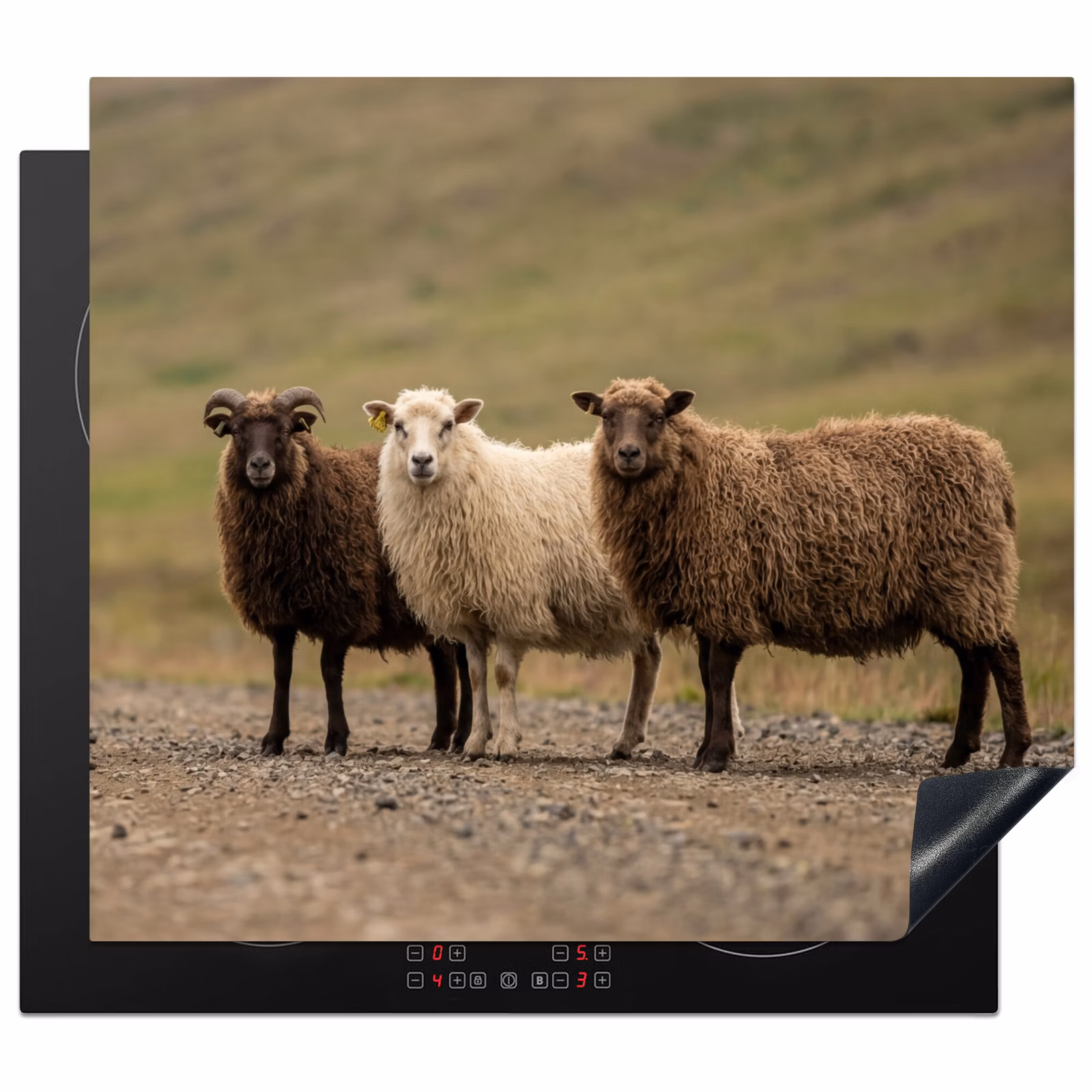 Inductie beschermer - Schapen - Bruin - Wit - Grindpad — 1