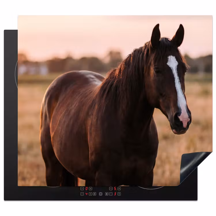 Inductie beschermer - Paard - Zonsondergang - Bruin — 1